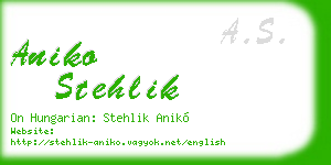 aniko stehlik business card